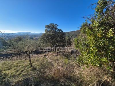 Maison - 167 m² - 5 pièces