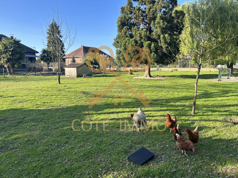 Maison - 150 m² - 6 pièces