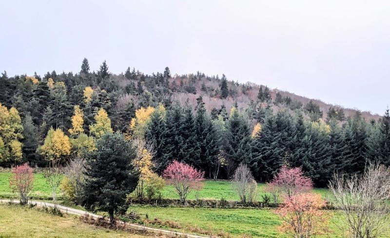 Corps de ferme - 176 m² - 7 pièces