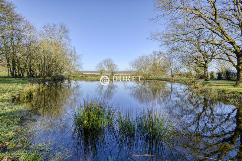 Maison traditionnelle - 197 m² - 8 pièces