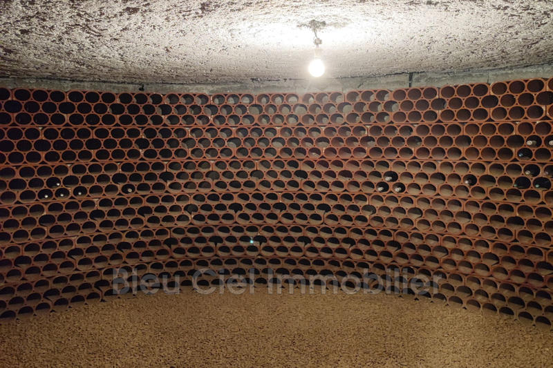 Propriété - 300 m² - 7 pièces