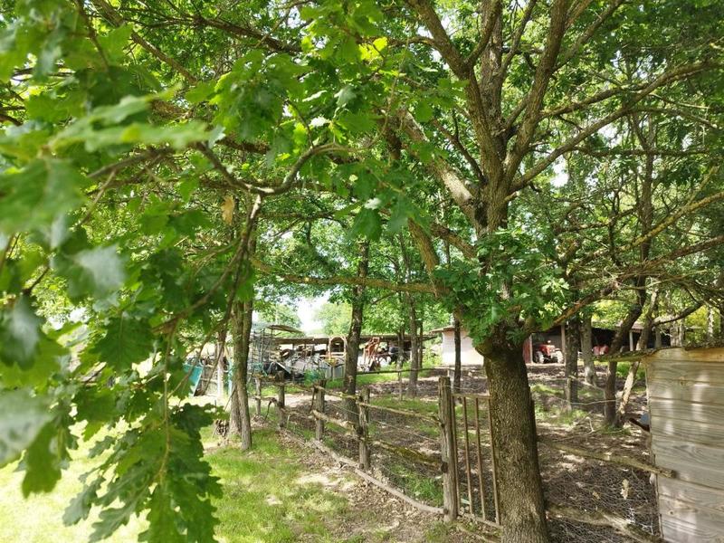 Propriété - 221 m² - 10 pièces