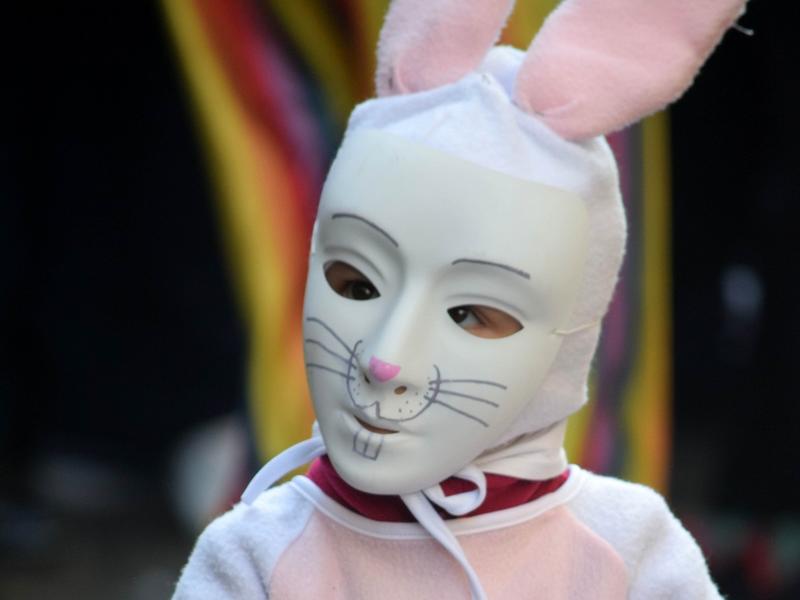 Carnaval de Limoux 2026 - Carnaval des Enfants