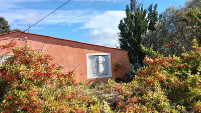 Maison de domaine équestre - 222 m² - 8 pièces