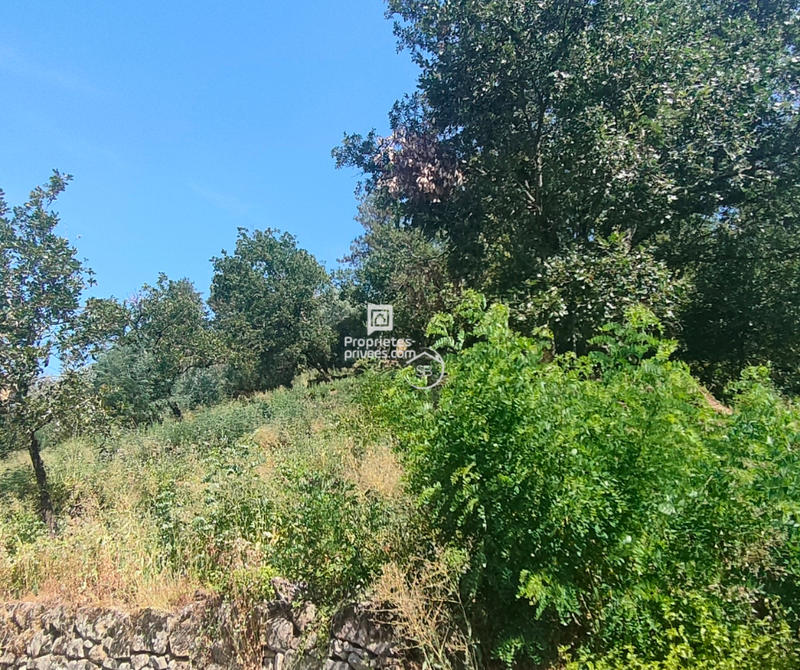 Terrain constructible - 785 m²