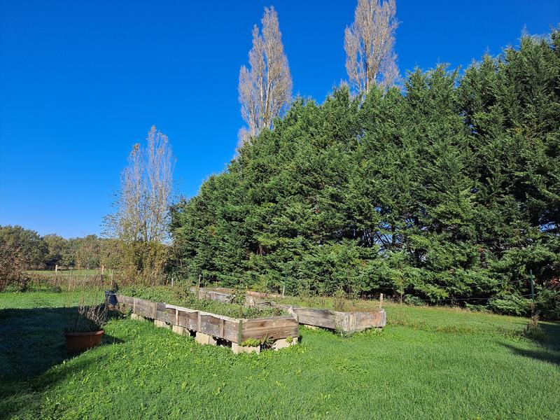 Maison - 224 m² - 9 pièces