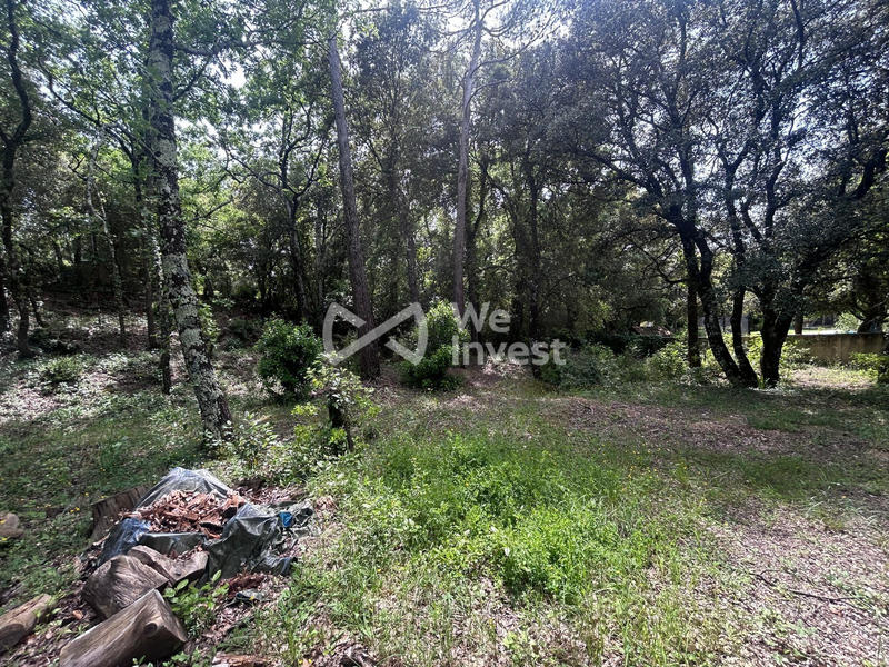 Terrain agricole - 1 380 m²