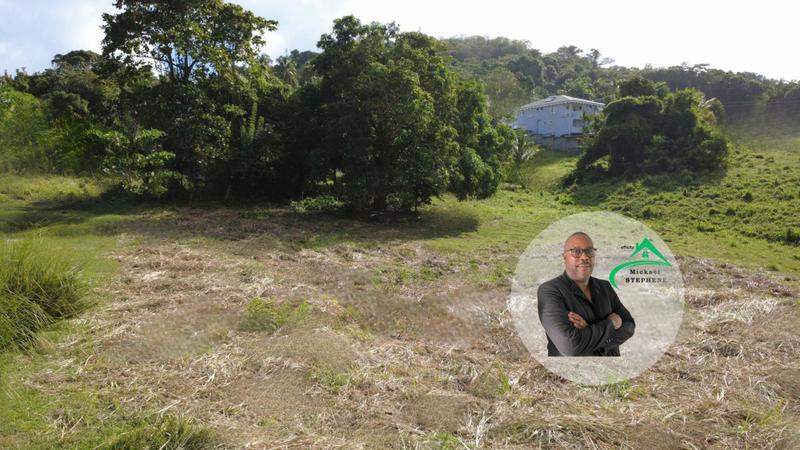 Terrain constructible - 1 241 m²