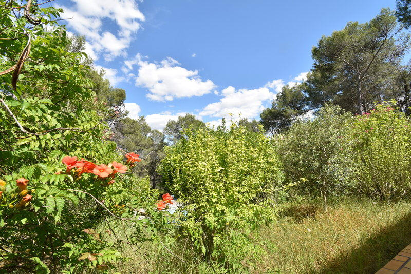 Maison - 234 m² - 8 pièces