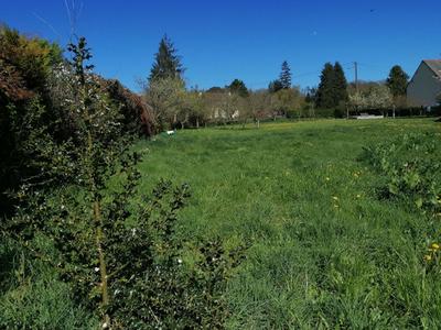 Terrain constructible - 1 174 m²