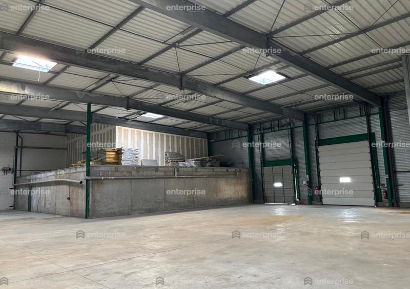 Local d'activité / Entrepôt - 1 210 m²