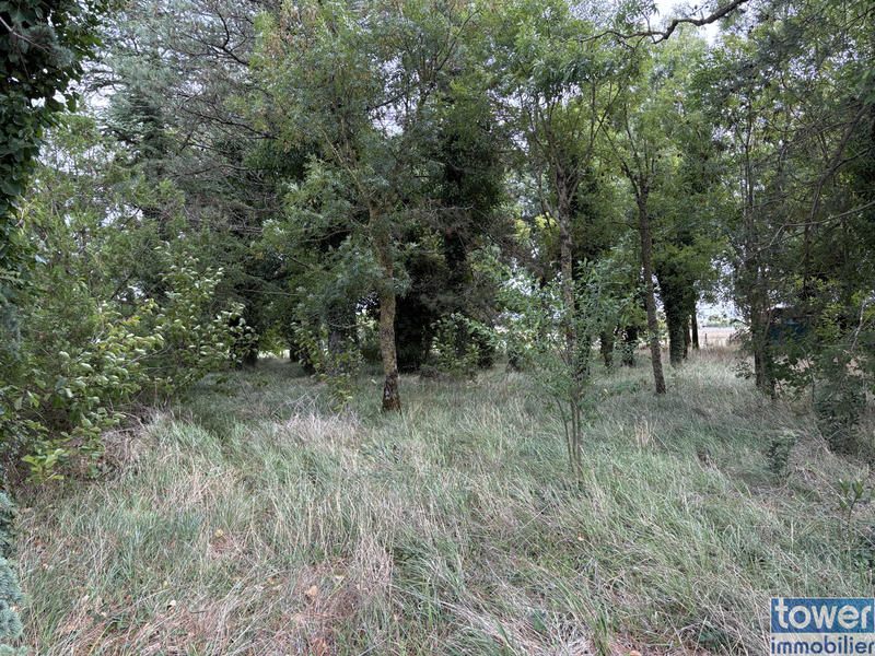 Terrain de loisirs - 1 476 m²