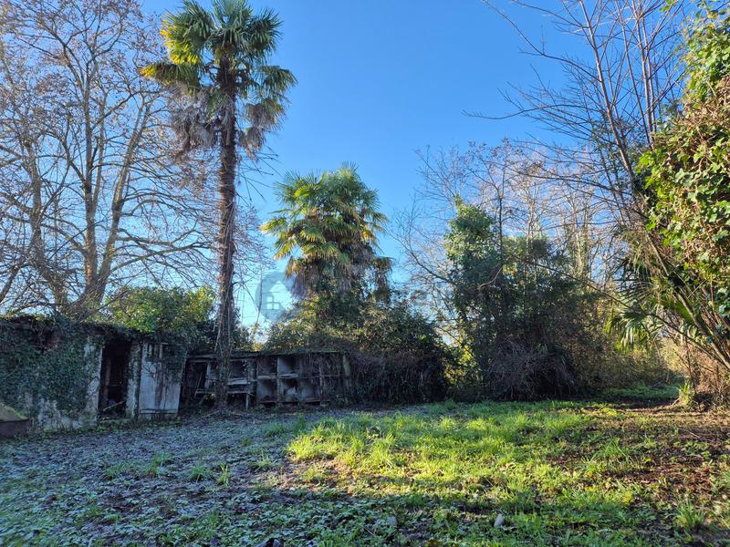 Maison ancienne - 279 m² - 8 pièces