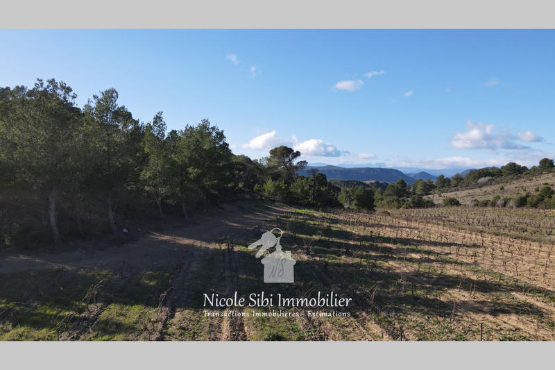 Terrain agricole - 41 295 m²