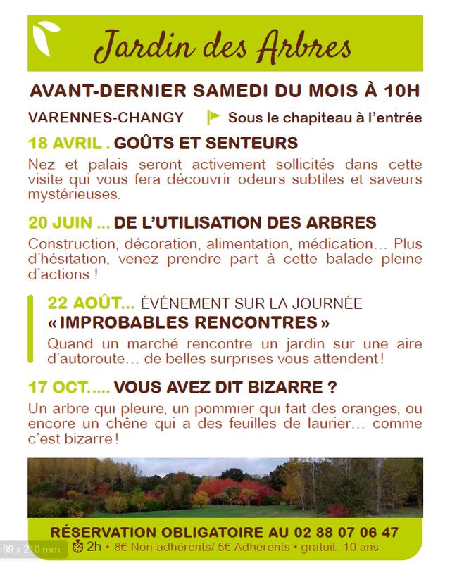 Vous avez dit bizarre ?