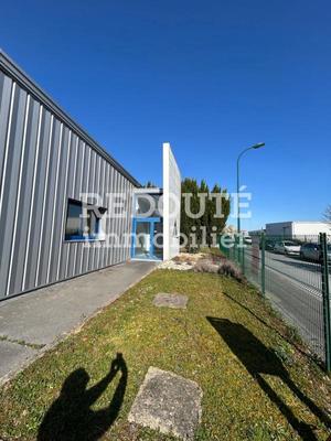 Entrepôt - 375 m² - 5 pièces