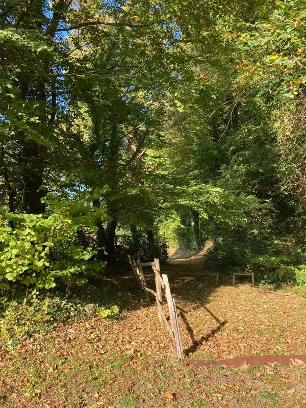 Maison - 325 m² - 14 pièces