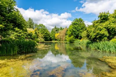 Manoir - 650 m² - 8 pièces