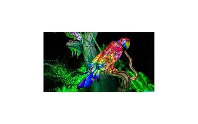 Noël à Pau - Spectacle:&quot;Les fééries du Hédas&quot;