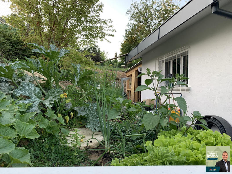 Maison - 240 m² - 5 pièces