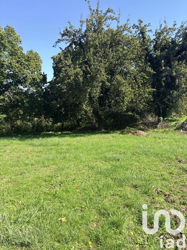 Maison de campagne - 87 m² - 4 pièces