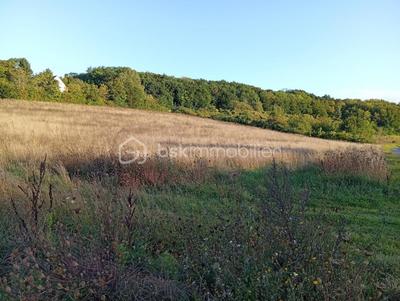 Terrain agricole - 10 469 m²