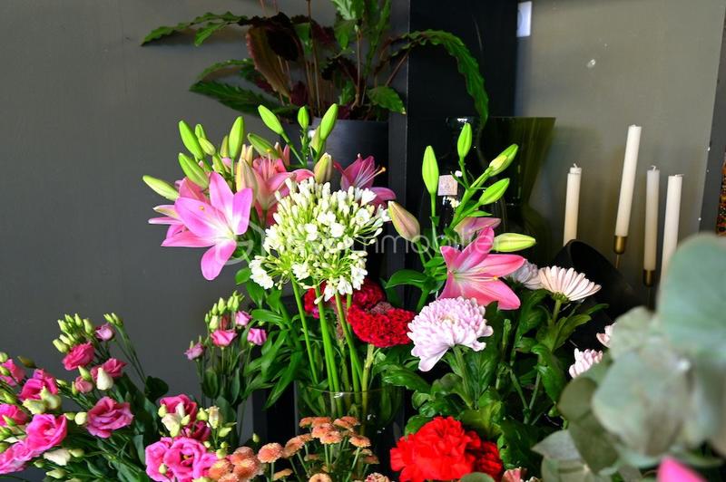 Local commercial - 71 m² - 2 pièces