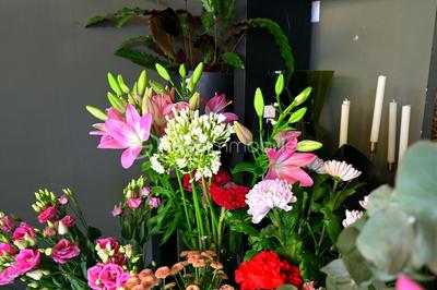 Local commercial - 71 m² - 2 pièces