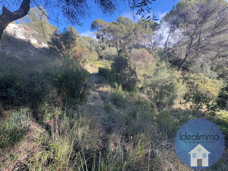 Terrain de loisirs - 20 000 m²