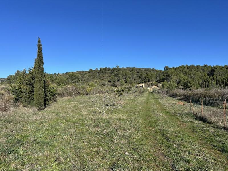 Terrain de loisirs - 10 189 m²