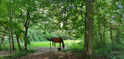 Maison - 220 m² - 9 pièces