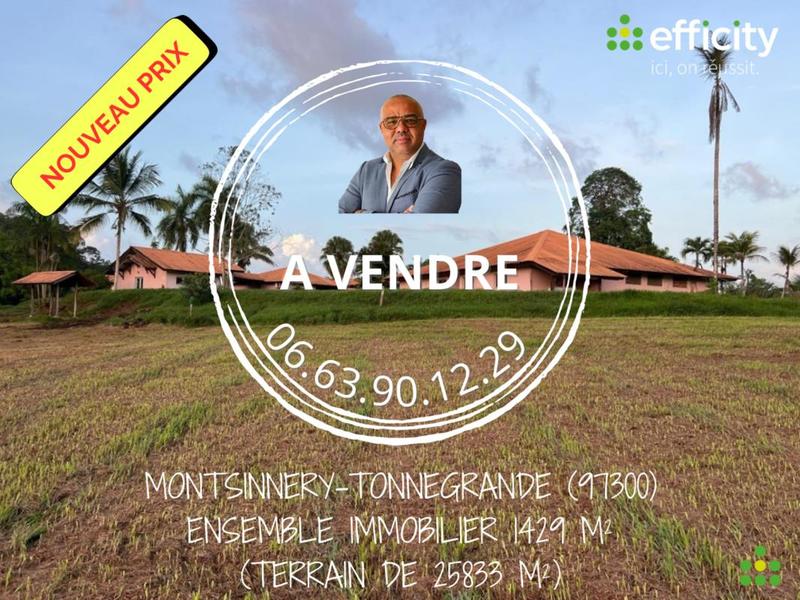 Immeuble - 1 429 m²