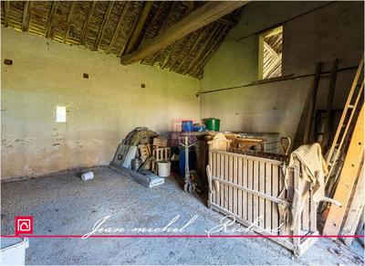 Propriété - 400 m² - 8 pièces