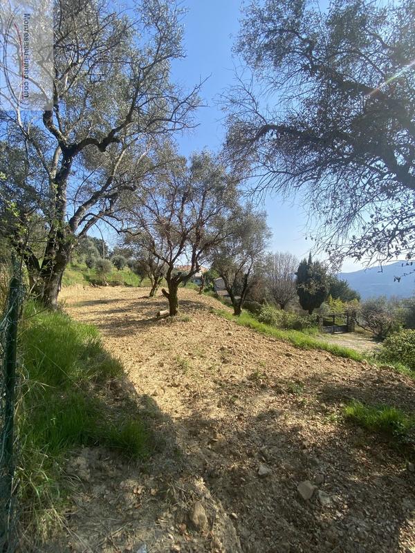 Terrain constructible - 1 880 m²