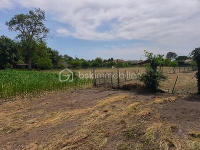 Maison - 315 m² - 3 pièces