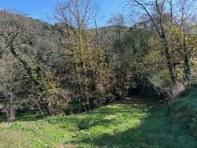 Mas - 120 m² - 5 pièces