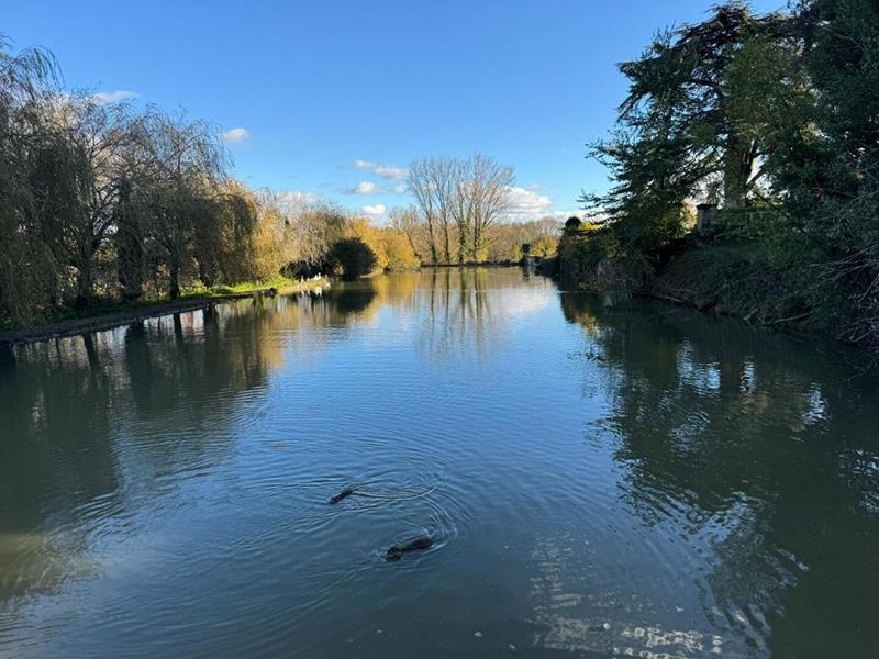 Demeure - 950 m² - 14 pièces