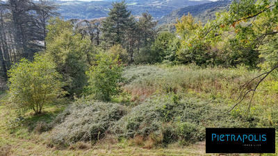 Terrain - 1 200 m²