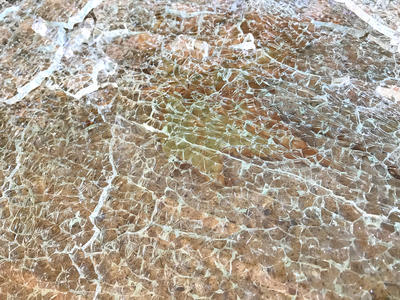 42ème salon de printemps, Accordages, Nadine Lahoz-Quilez