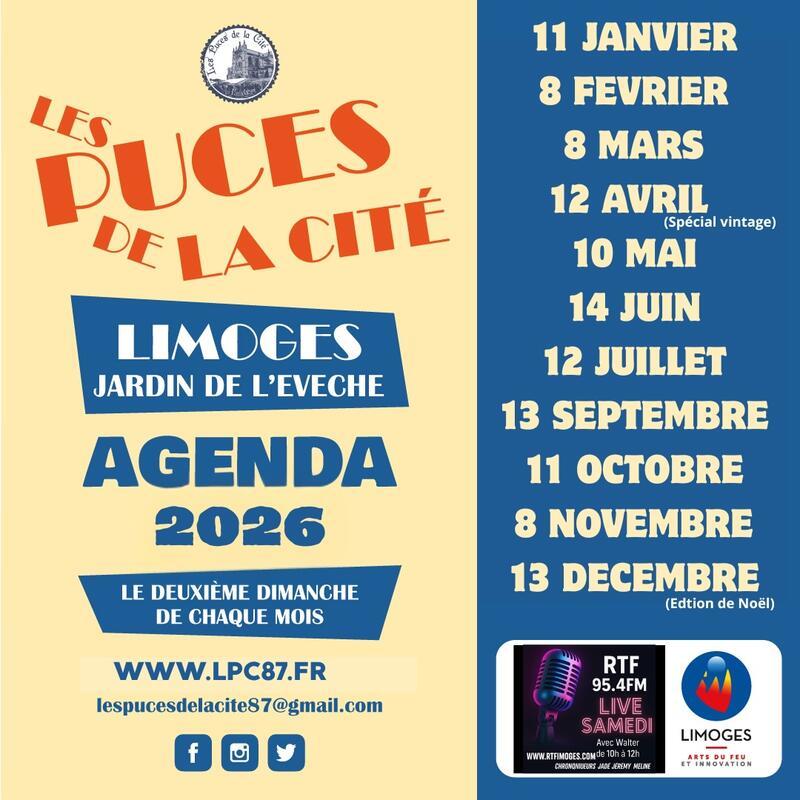 Les puces de la cité