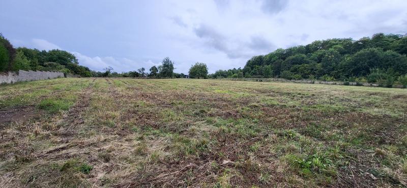 Terrain de loisirs - 7 850 m²