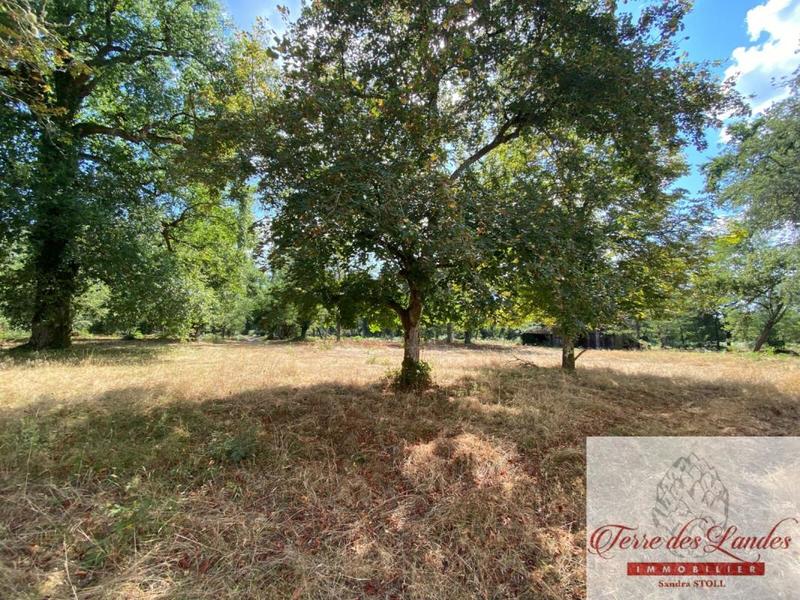 Maison - 80 m² - 3 pièces