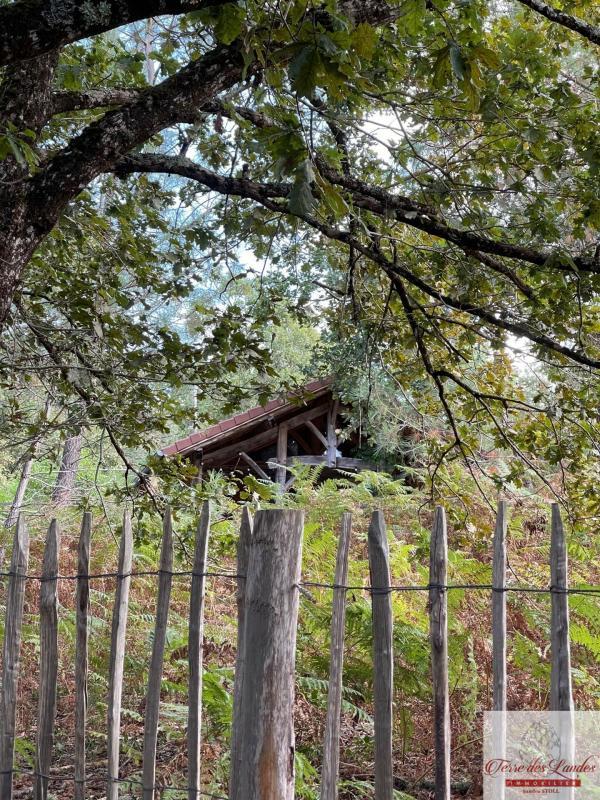 Propriété - 160 m² - 7 pièces