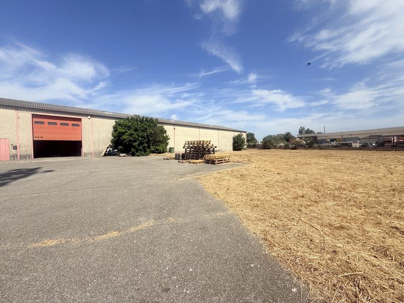 Local d'activités - 1 205 m²