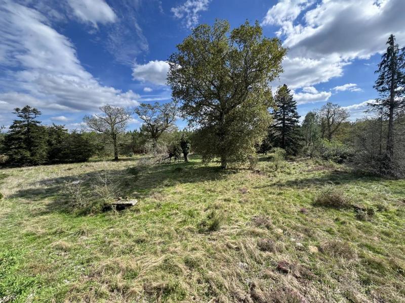 Maison de maîtres - 175 m² - 9 pièces