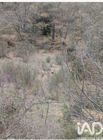 Terrain - 65 360 m²