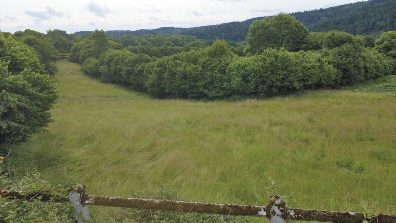 Maison ancienne - 150 m² - 4 pièces