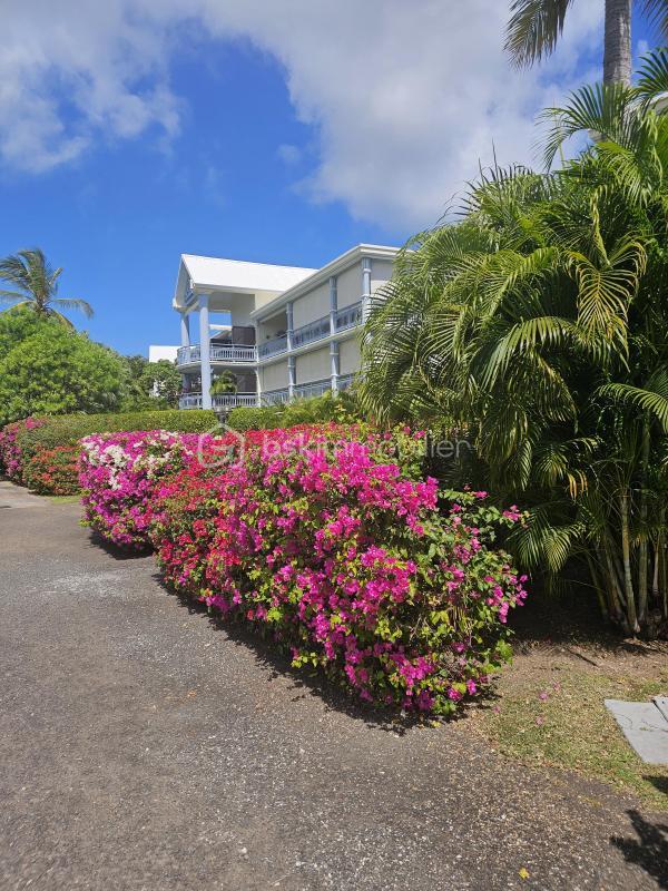 Studio - 41 m² - 1 pièce