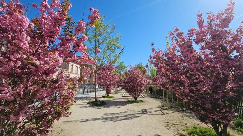 Appartement - 27 m² - 1 pièce