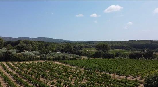 Les Lambesc'apades : Découverte du Domaine Beauchamp